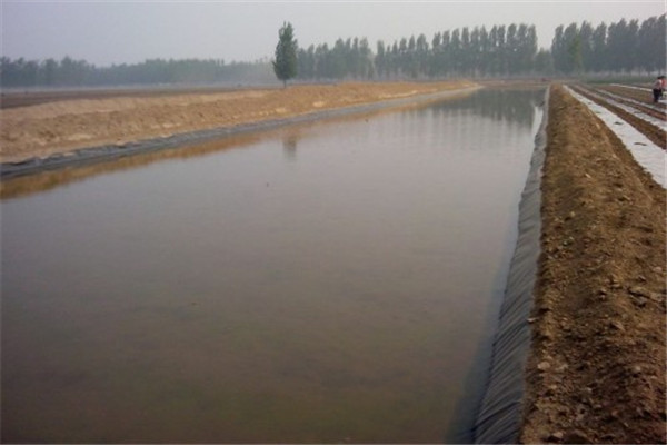 藕池养殖膜工程